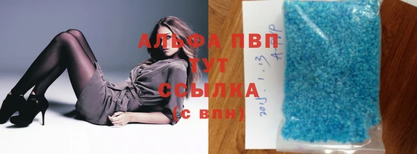 мяу мяу мука Аркадак