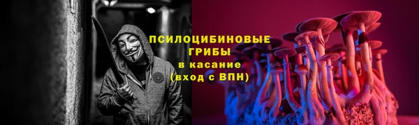 эйфоретик Баксан