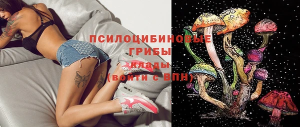мяу мяу мука Аркадак