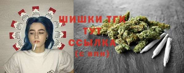 эйфоретик Баксан