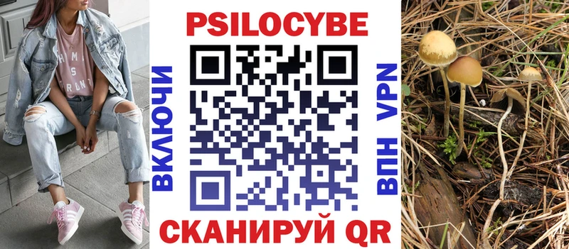 Галлюциногенные грибы Cubensis  дарнет шоп  Приморск 
